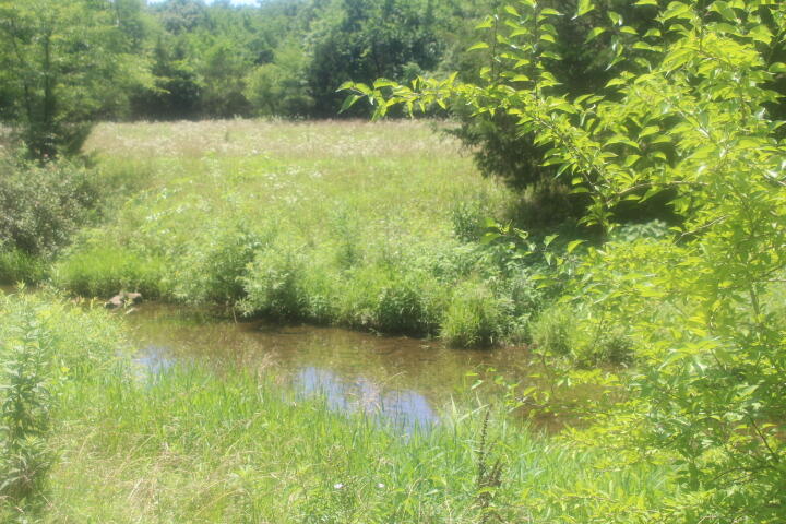 3176 South 170th Road Property Photo 5