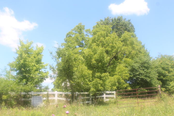 3176 South 170th Road Property Photo 20