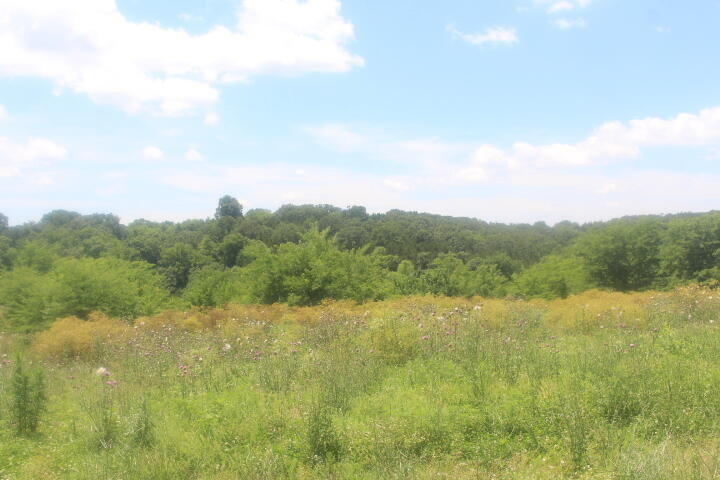 3176 South 170th Road Property Photo 22