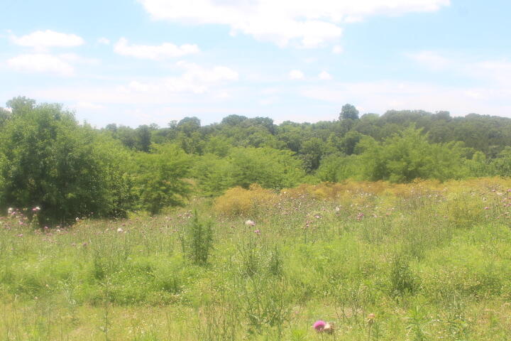 3176 South 170th Road Property Photo 23