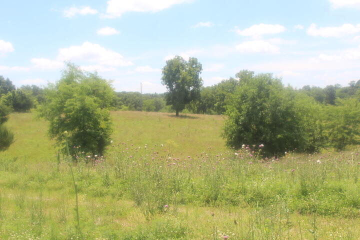3176 South 170th Road Property Photo 25