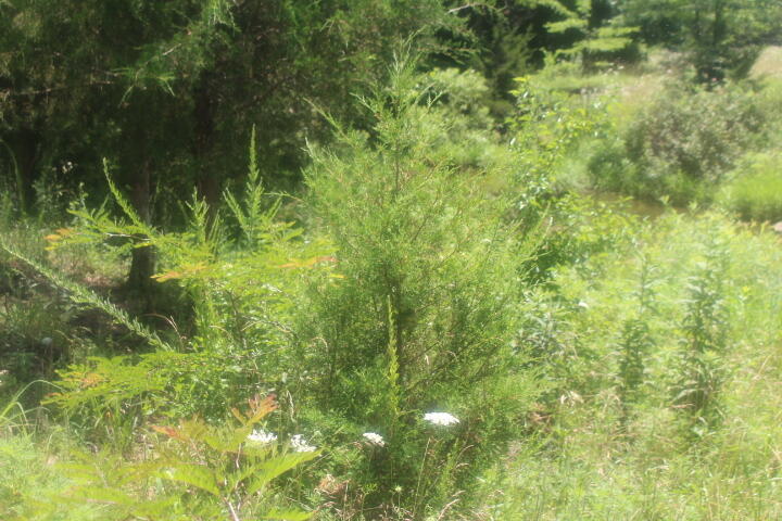 3176 South 170th Road Property Photo 26