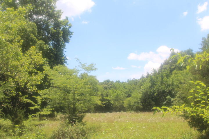 3176 South 170th Road Property Photo 27