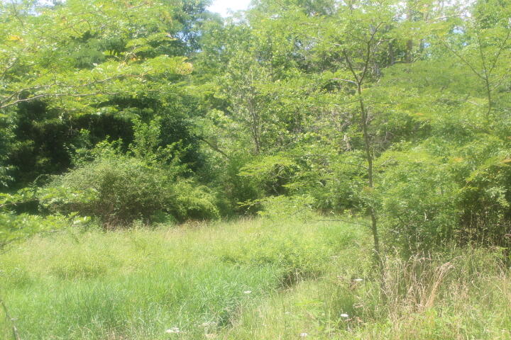 3176 South 170th Road Property Photo 28