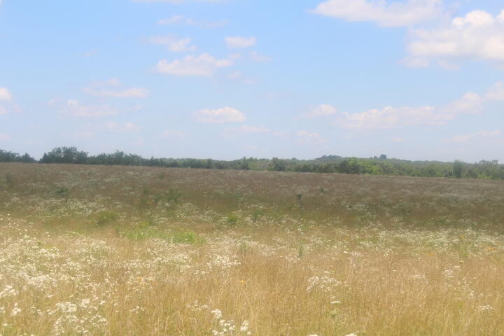 3176 South 170th Road Property Photo 28
