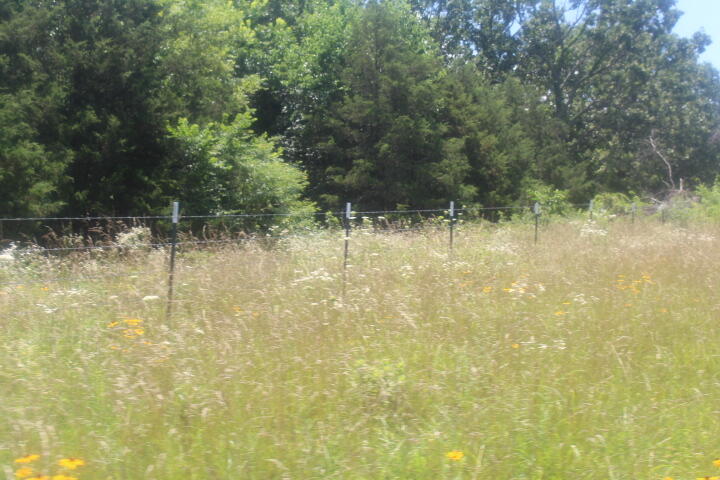 3176 South 170th Road Property Photo 29