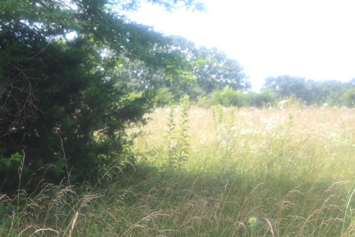 3176 South 170th Road Property Photo 31