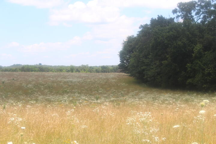 3176 South 170th Road Property Photo 33