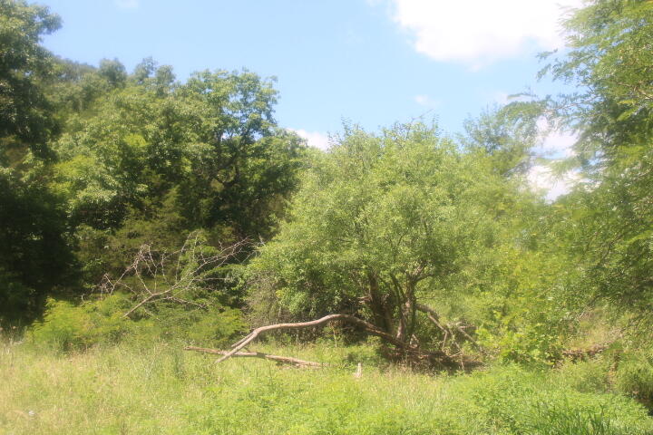 3176 South 170th Road Property Photo 34