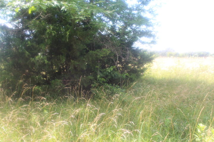 3176 South 170th Road Property Photo 38