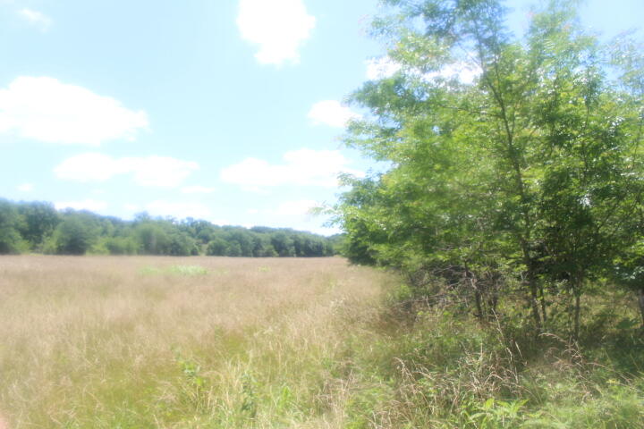3176 South 170th Road Property Photo 41