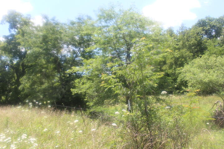 3176 South 170th Road Property Photo 50