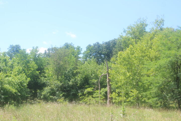 3176 South 170th Road Property Photo 51