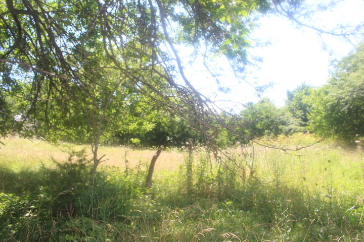 3176 South 170th Road Property Photo 52