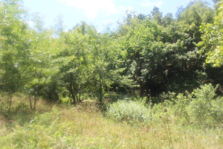 3176 South 170th Road Property Photo 53