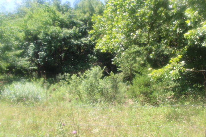 3176 South 170th Road Property Photo 54