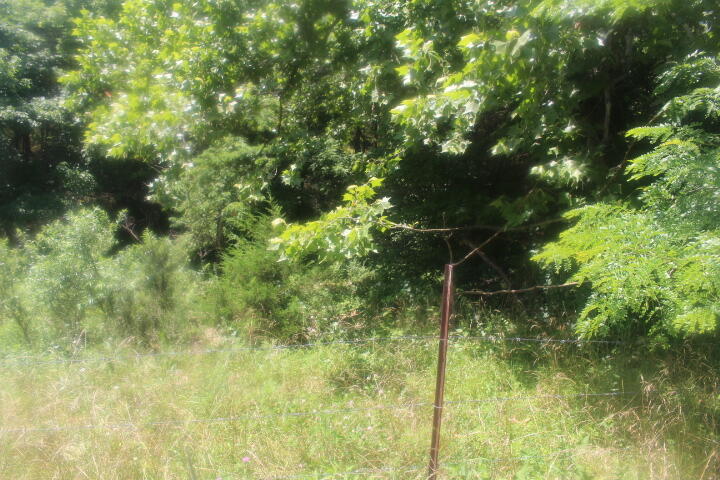 3176 South 170th Road Property Photo 55