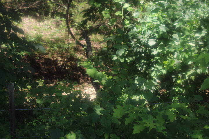 3176 South 170th Road Property Photo 60