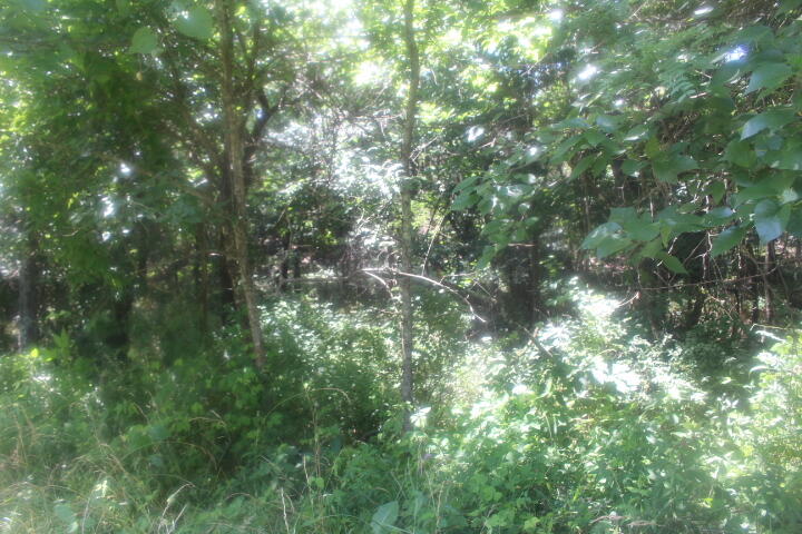 3176 South 170th Road Property Photo 62