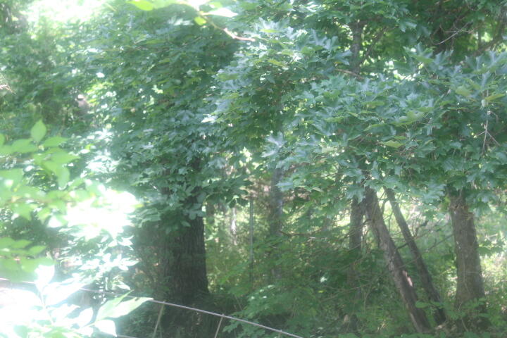 3176 South 170th Road Property Photo 64