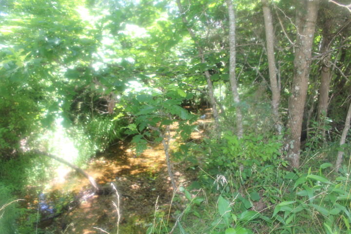 3176 South 170th Road Property Photo 65