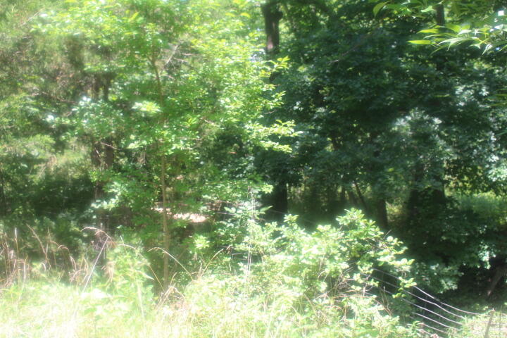 3176 South 170th Road Property Photo 67