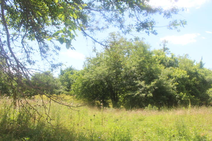 3176 South 170th Road Property Photo 80