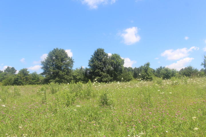 3176 South 170th Road Property Photo 88