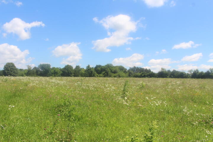 3176 South 170th Road Property Photo 89