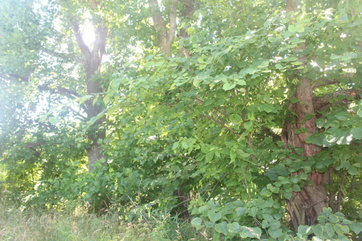 3176 South 170th Road Property Photo 98