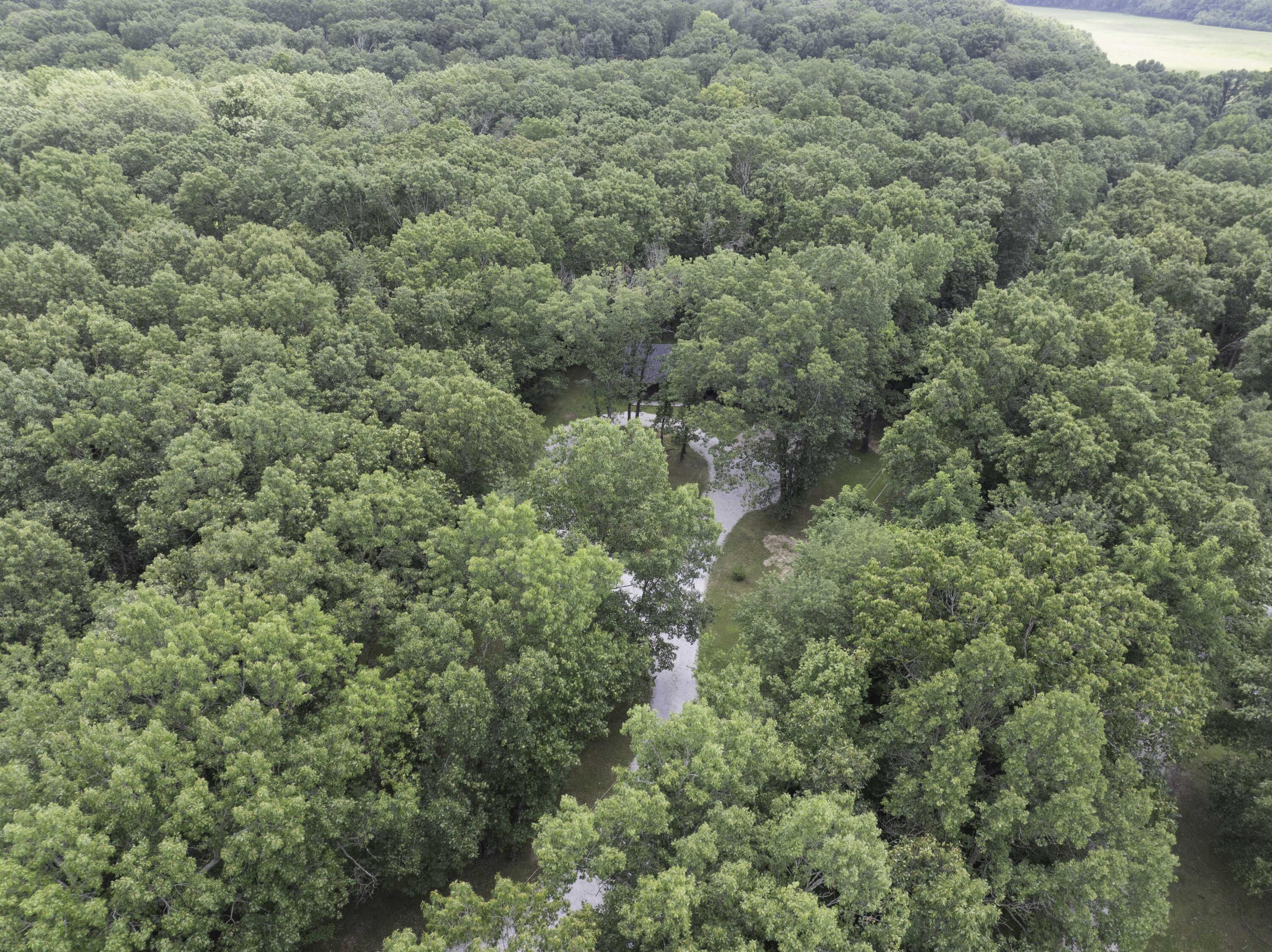 2386 West Deer Trail Court Property Photo 38