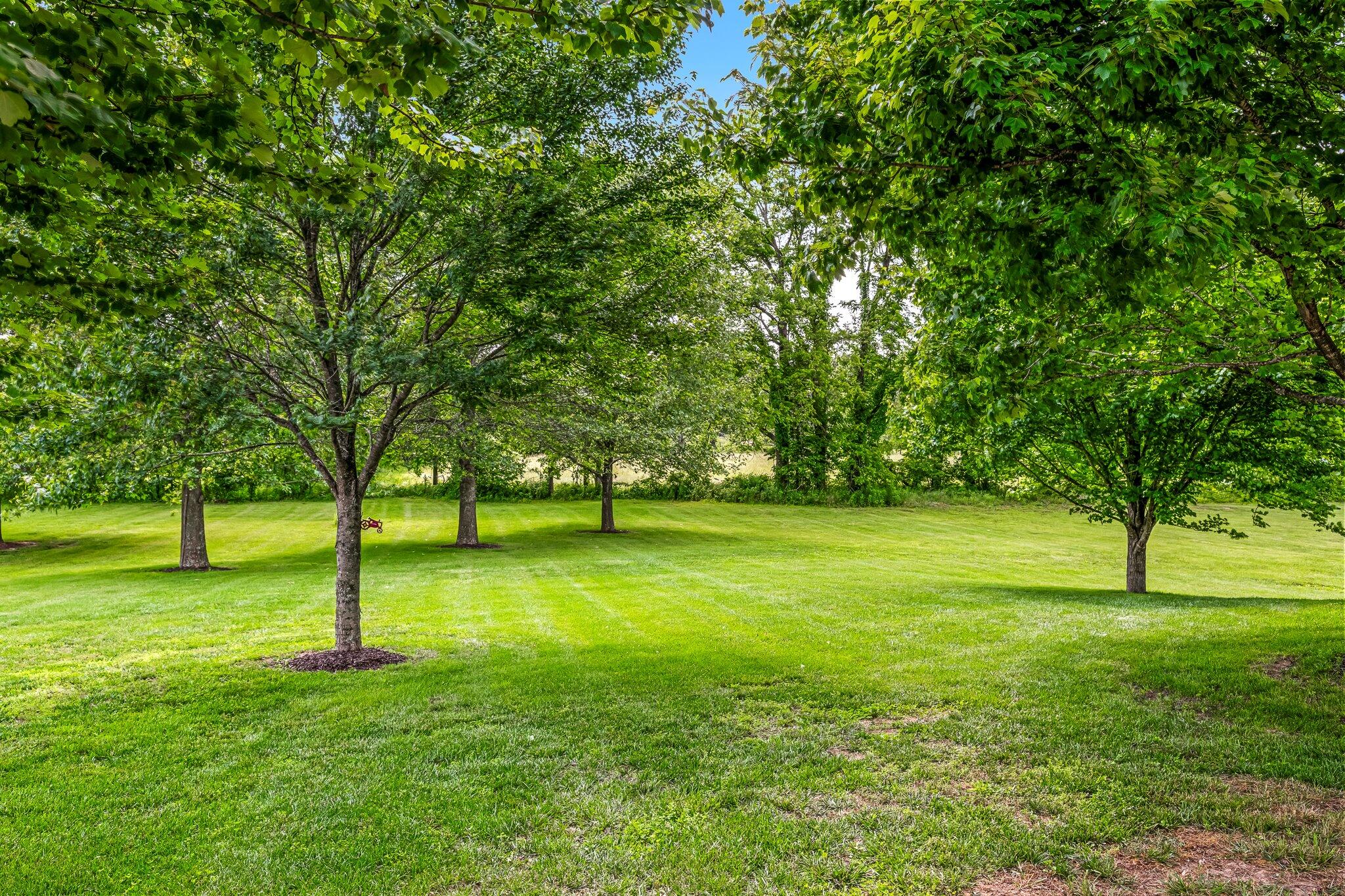 10158 East Beth Lane Property Photo 42