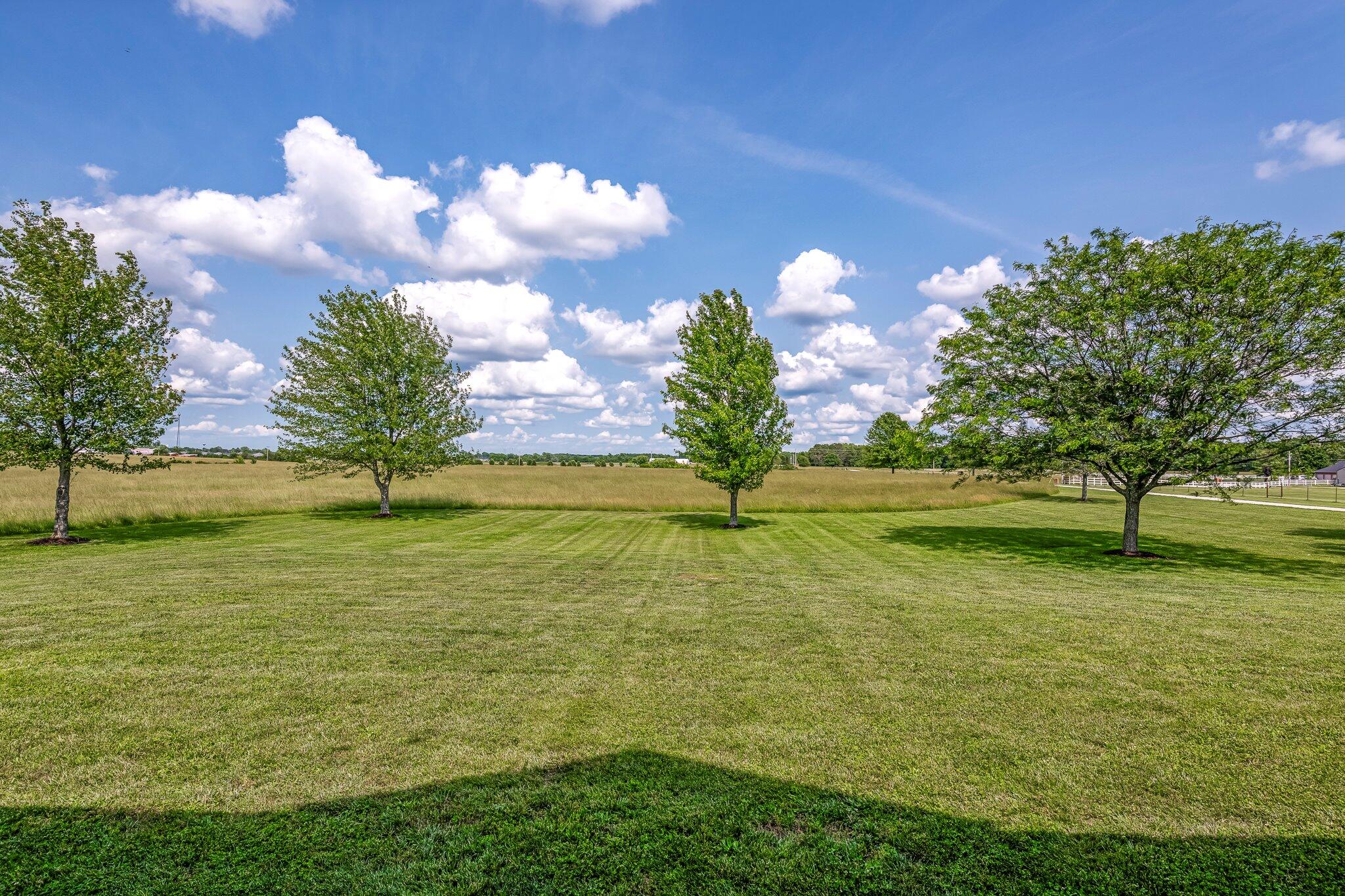 10158 East Beth Lane Property Photo 43