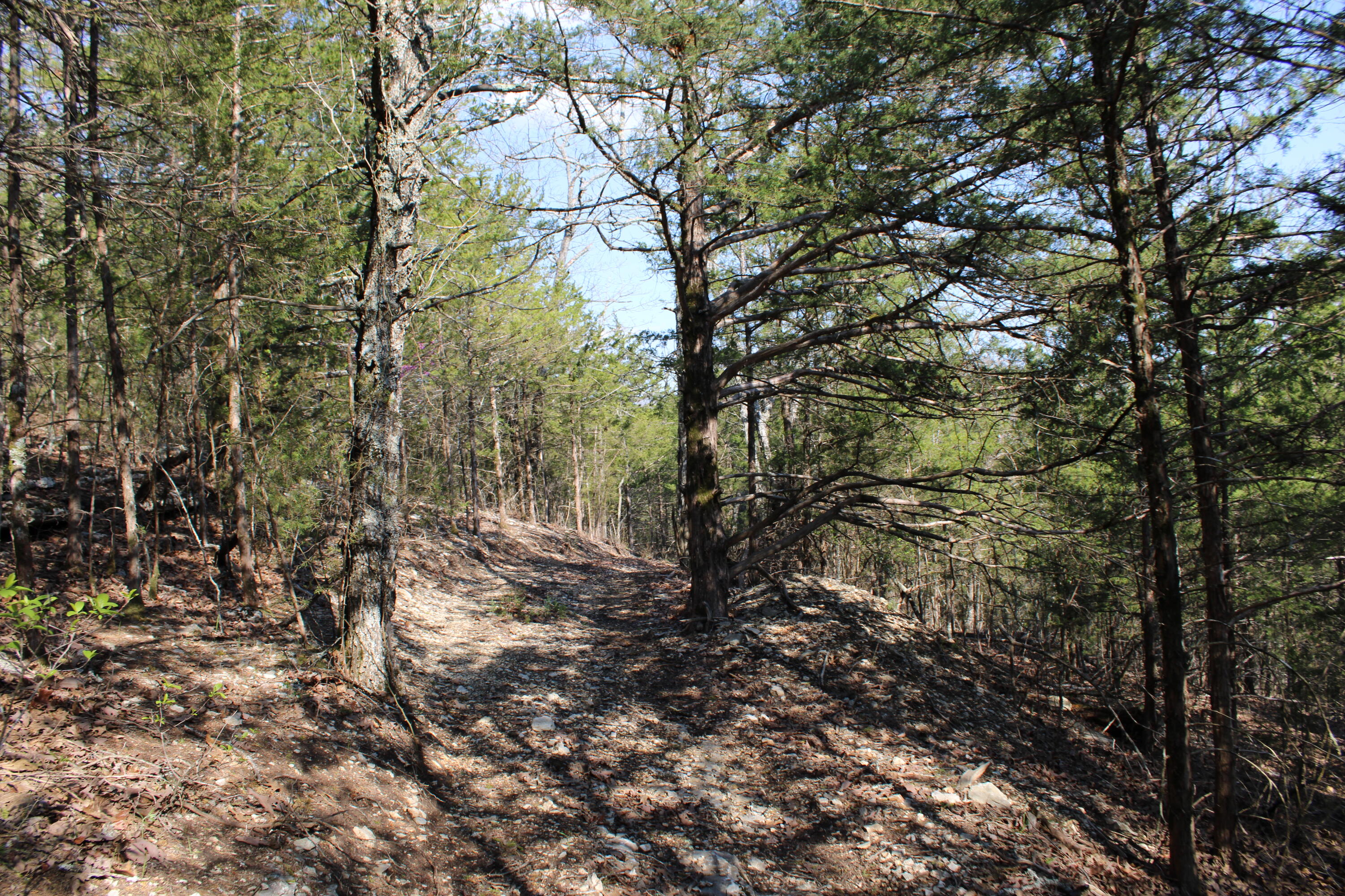 2240 Mease Drive Property Photo 25