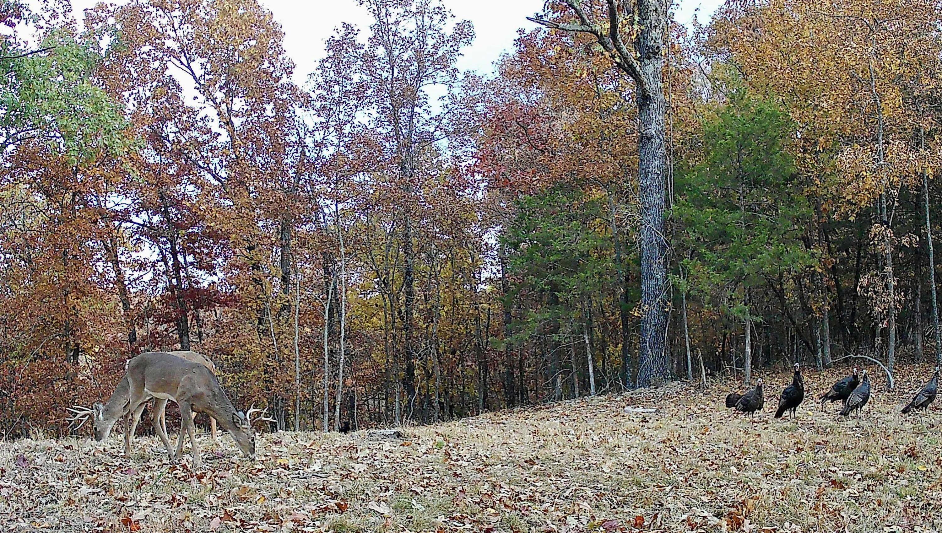 2240 Mease Drive Property Photo 27