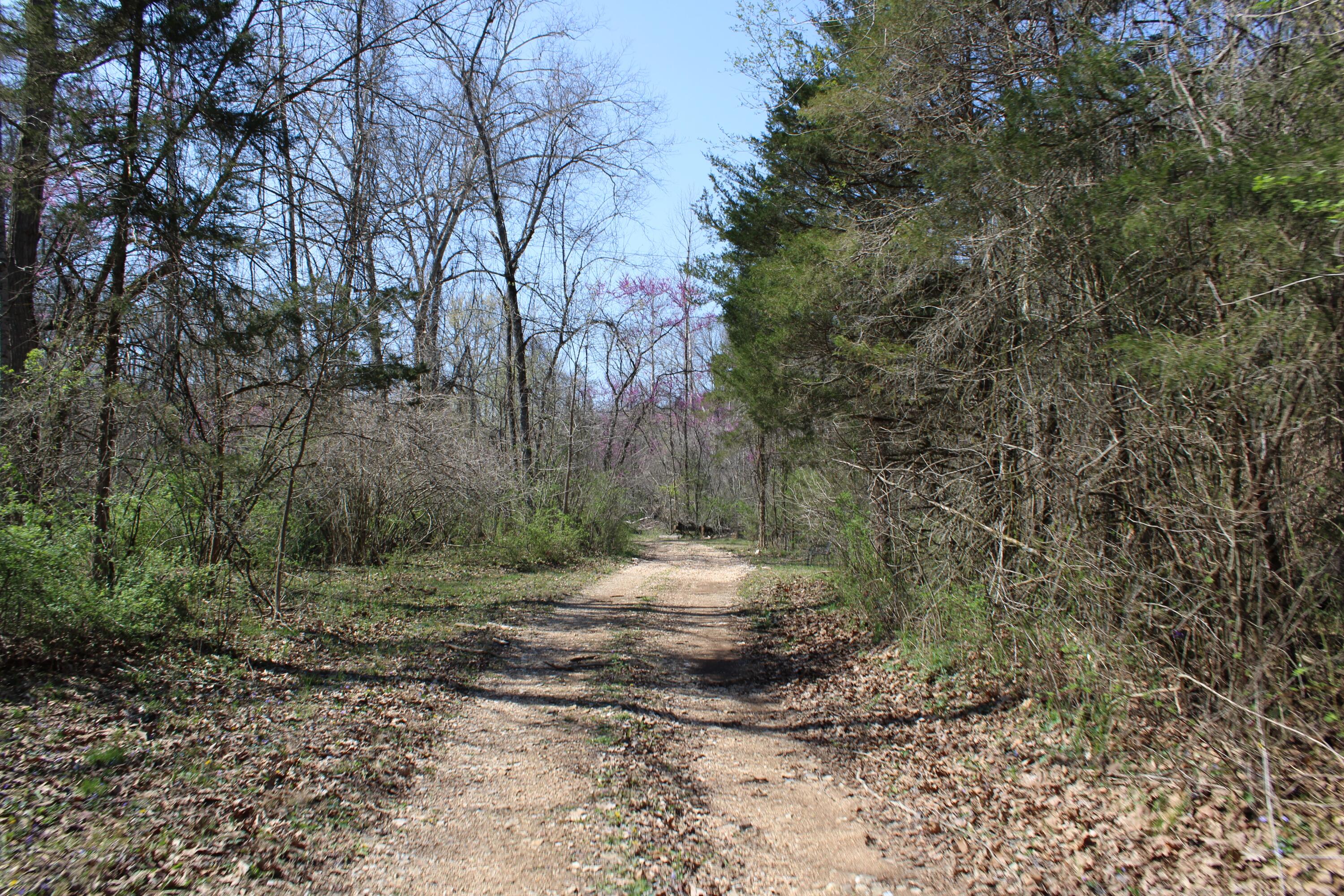 2240 Mease Drive Property Photo 29