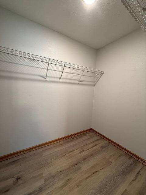 310 Mulling Drive Property Photo 16