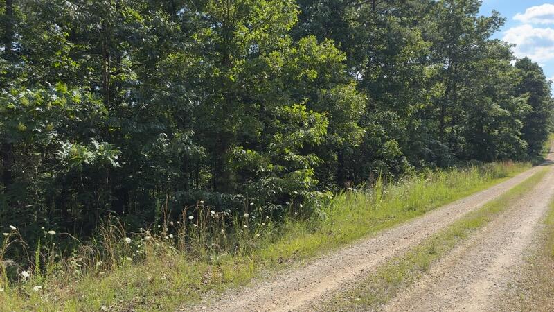 2150 Golden Road Property Photo 1