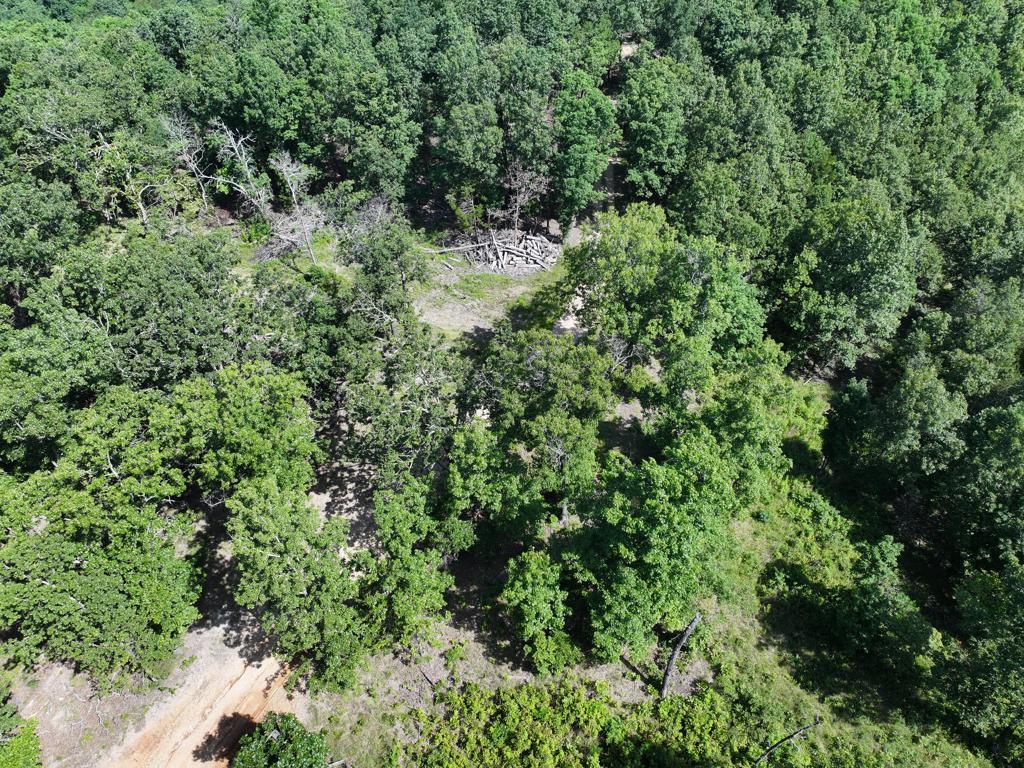 000 County Road 630 Property Photo 4