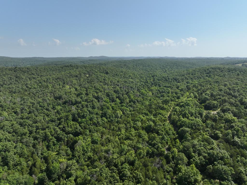 000 County Road 630 Property Photo 30