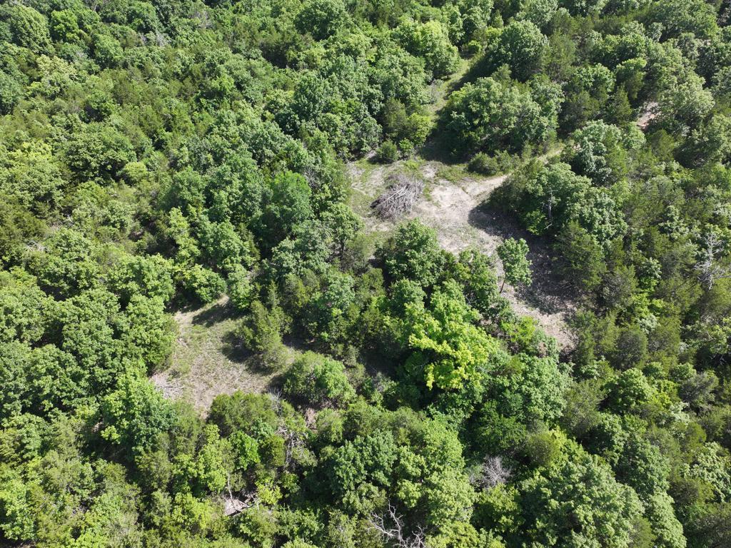 000 County Road 630 Property Photo 18