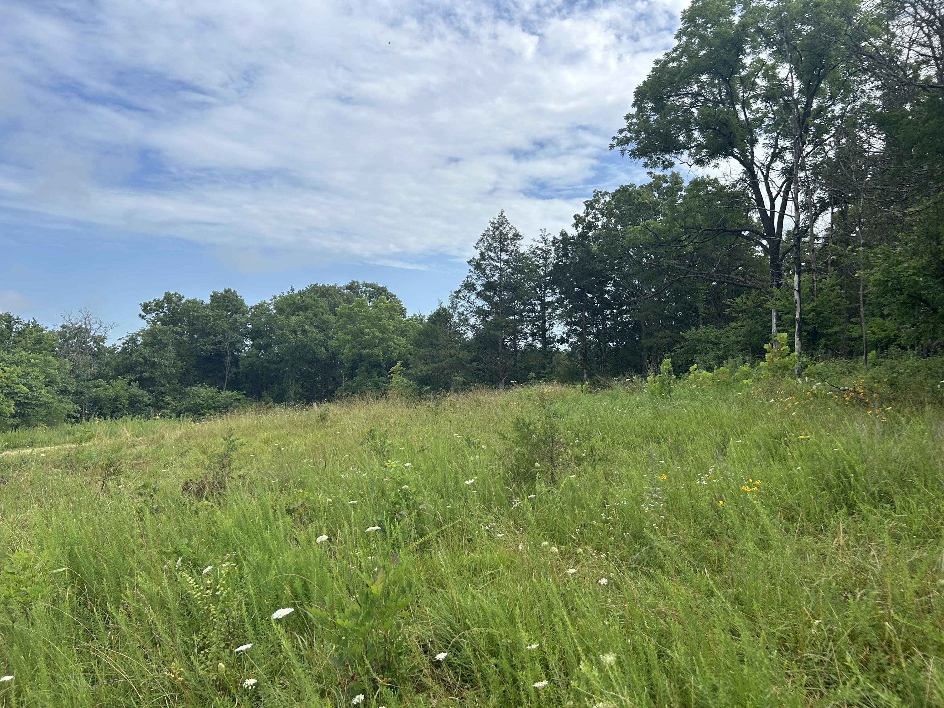 000 County Road Y-521 Property Photo 1