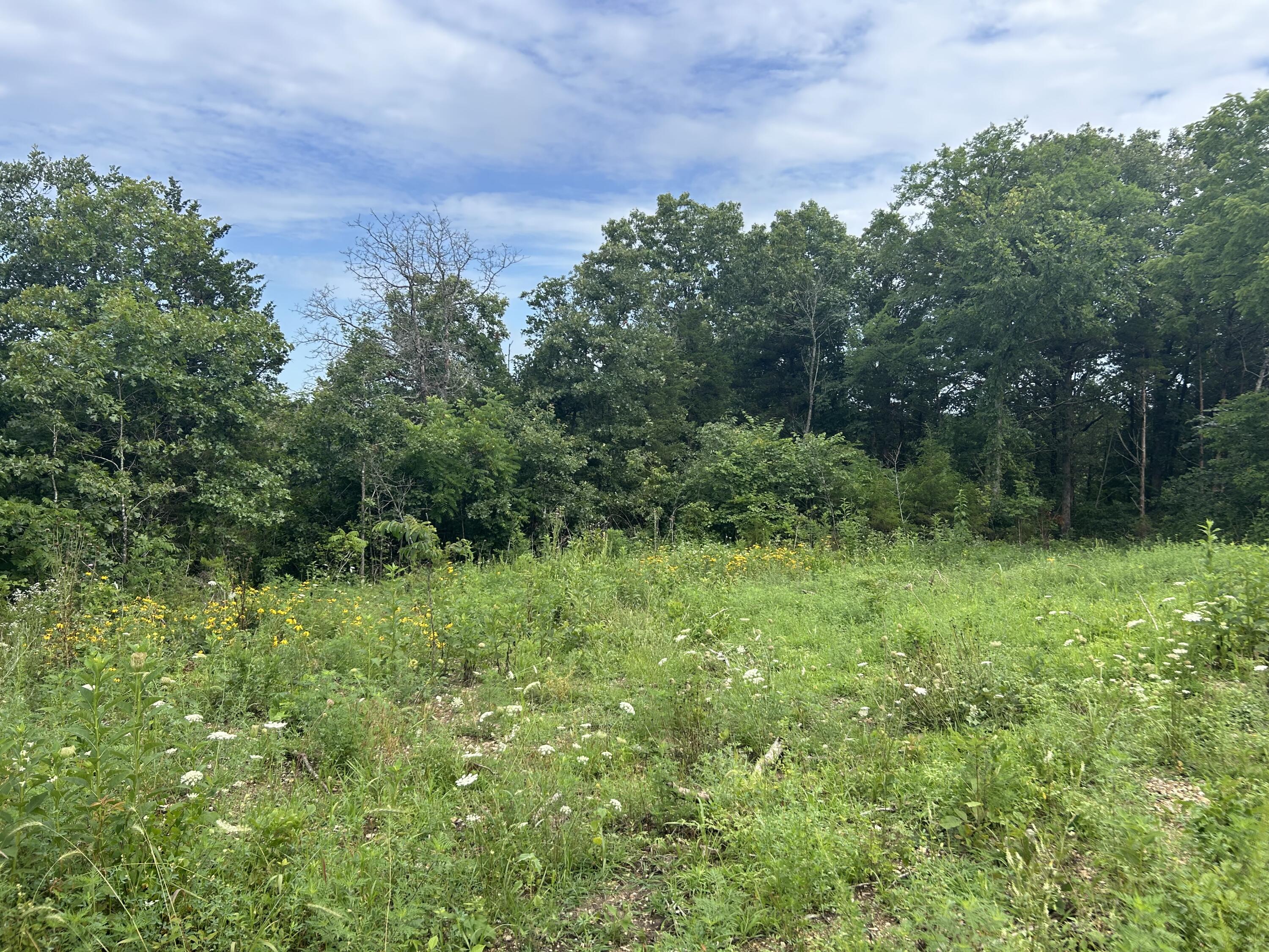 000 County Road Y-521 Property Photo 3