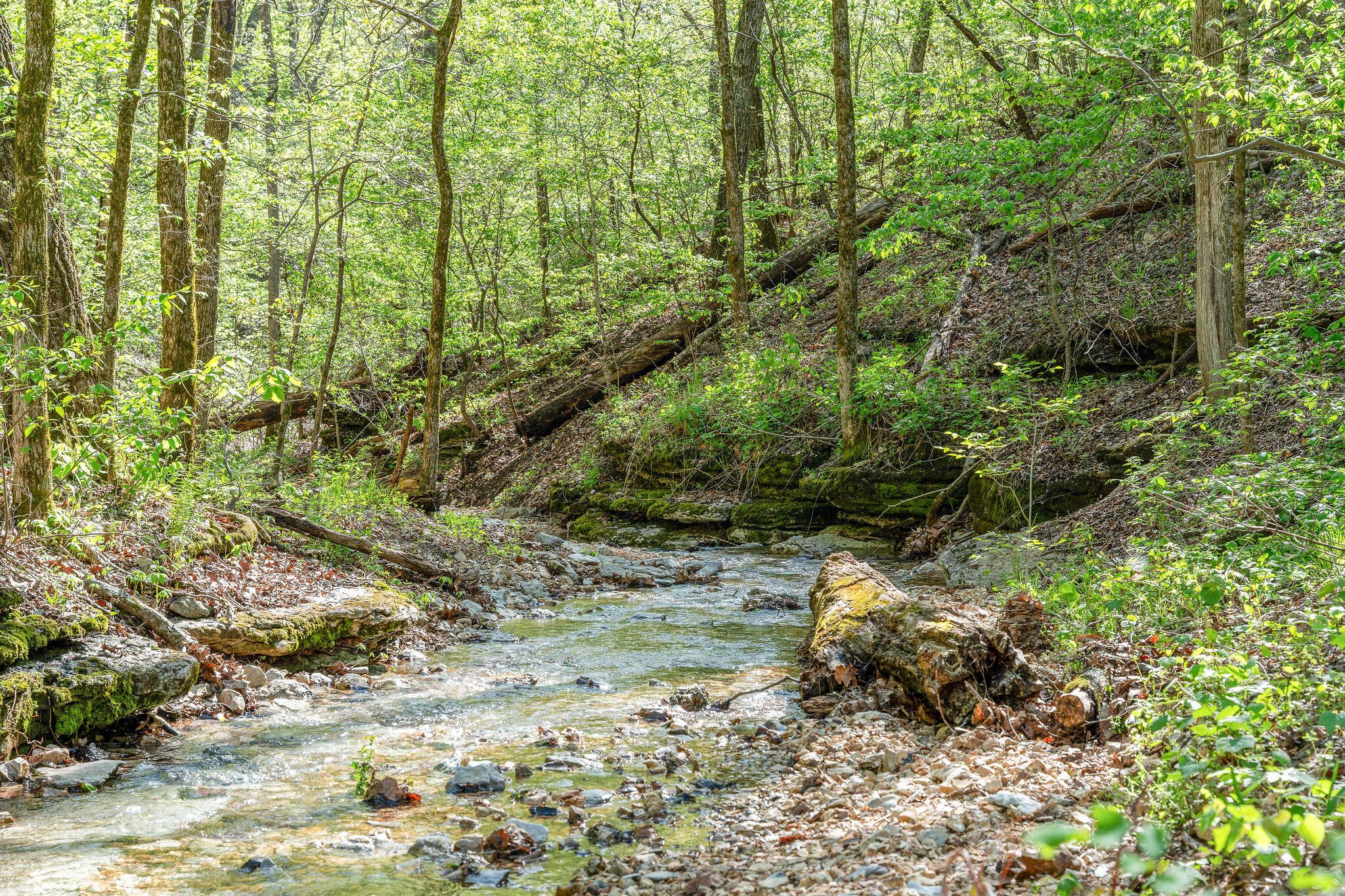 160 Old Horseshoe Property Photo 2