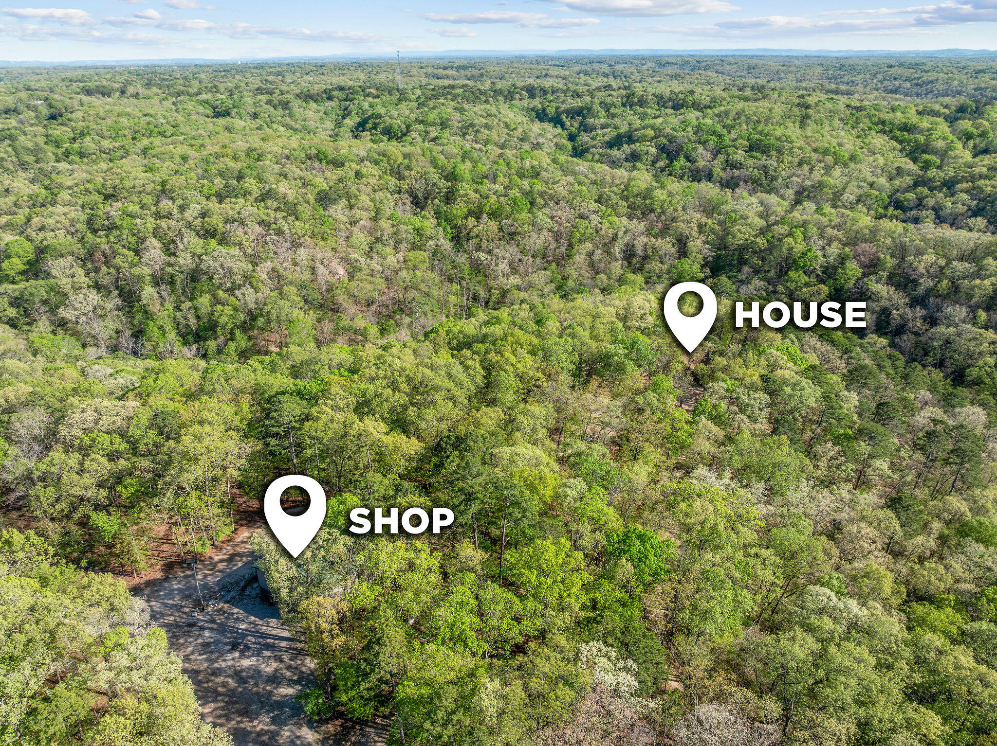 160 Old Horseshoe Property Photo 3