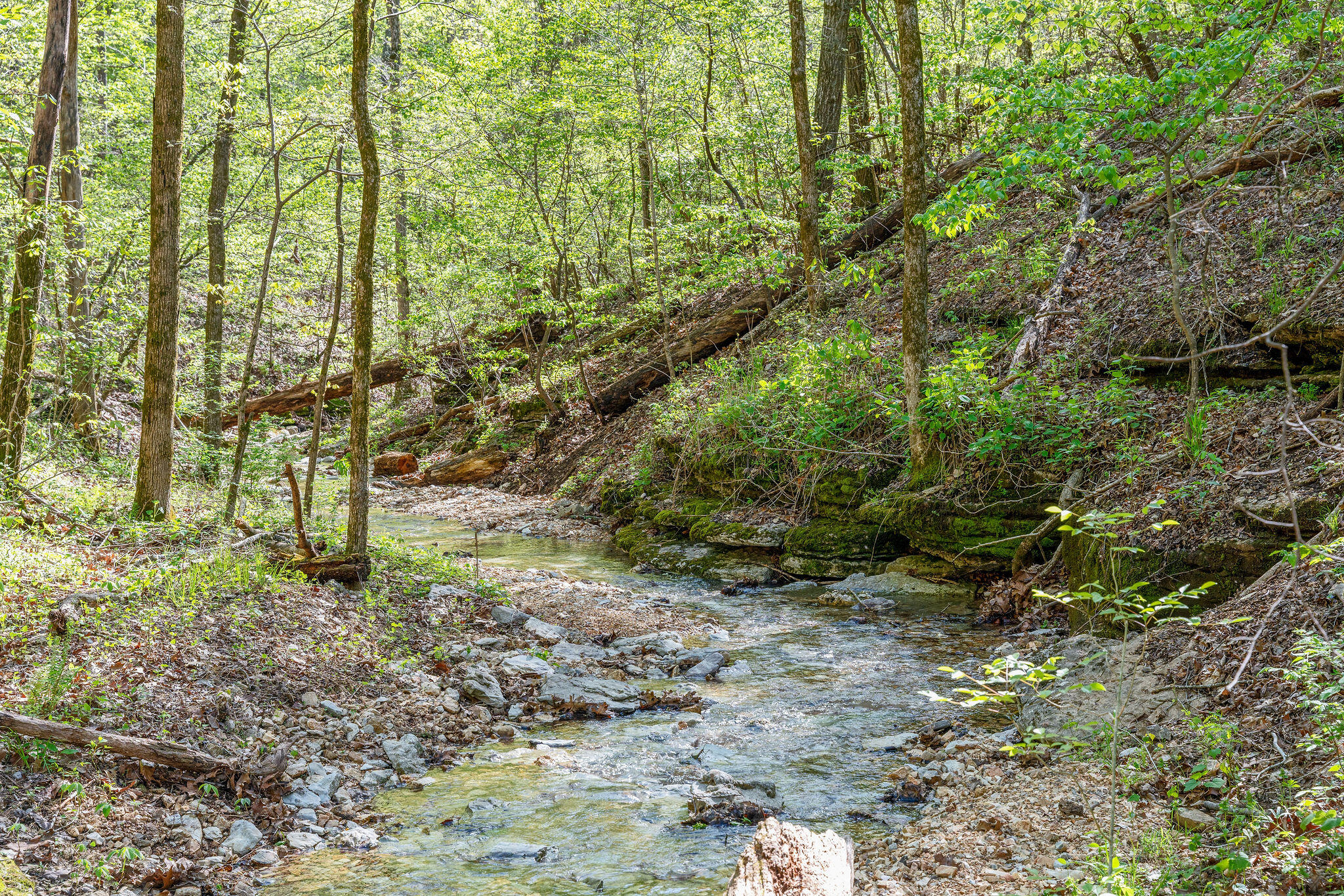 160 Old Horseshoe Property Photo 4