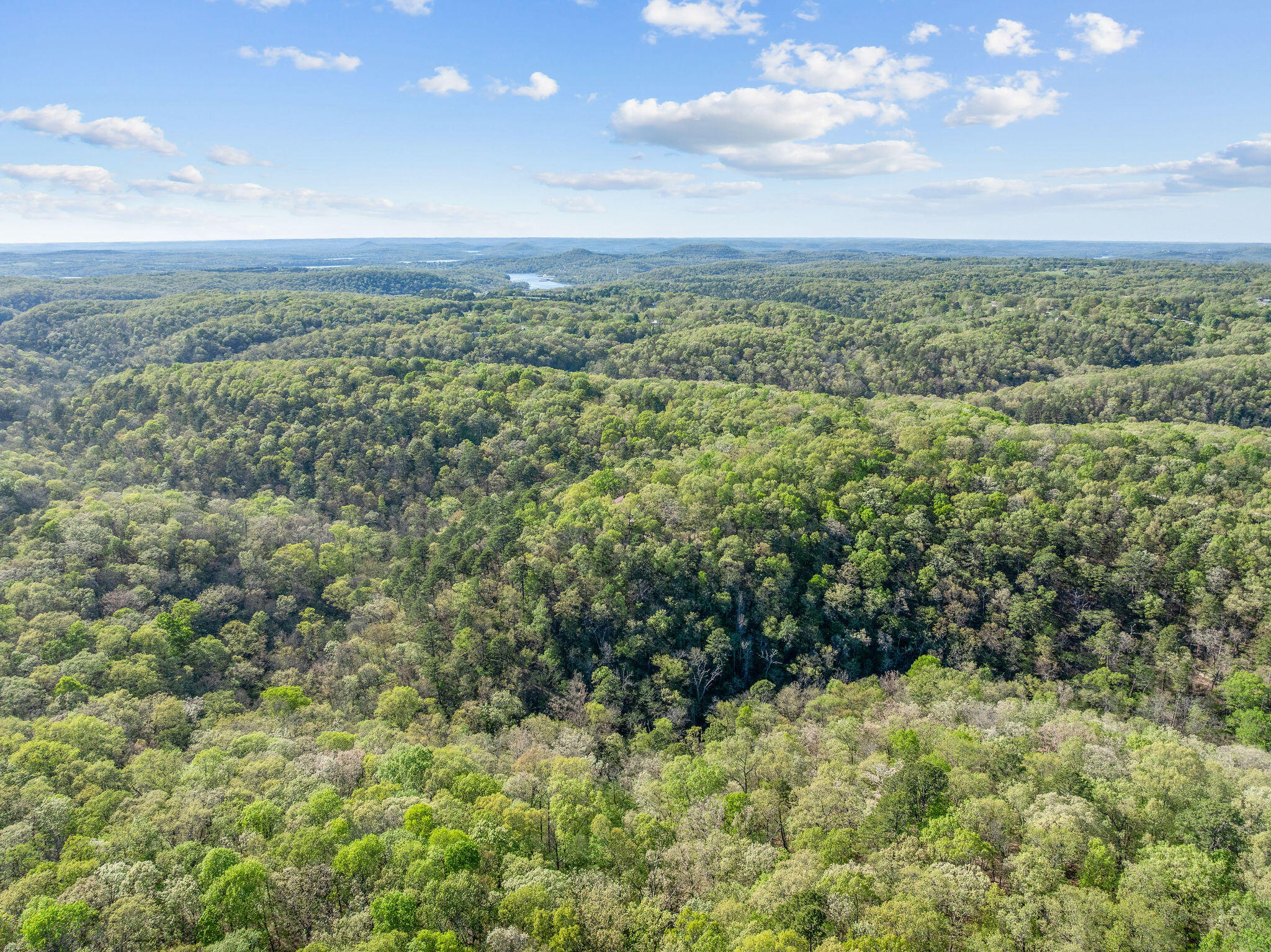 160 Old Horseshoe Property Photo 7