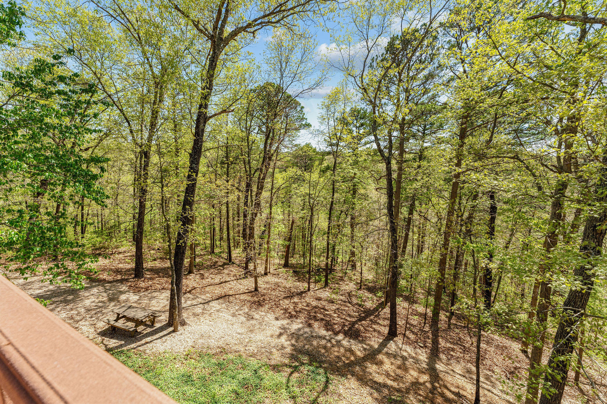 160 Old Horseshoe Property Photo 47