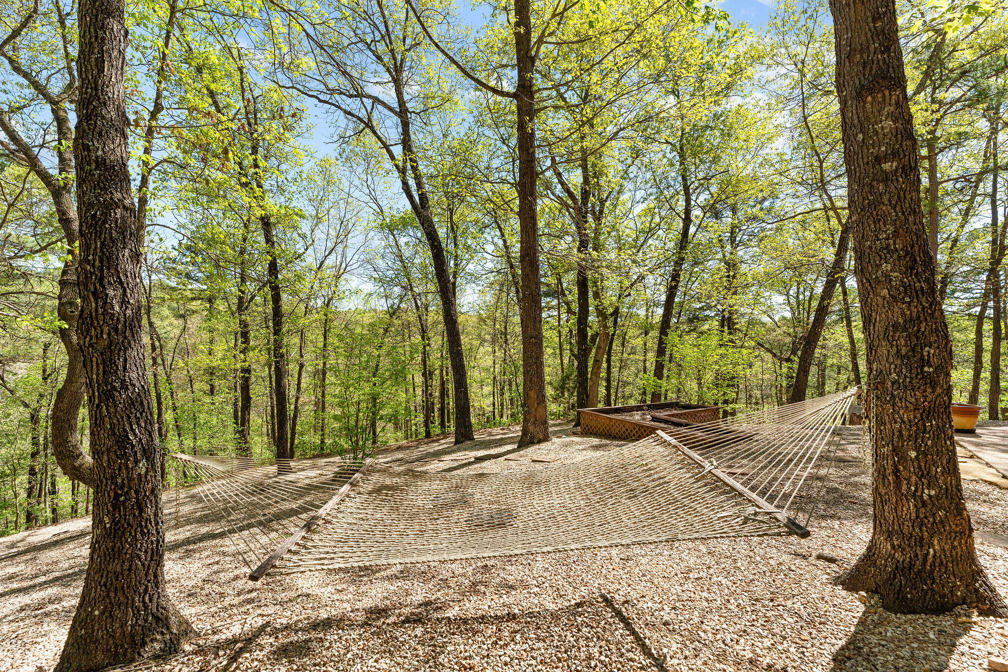 160 Old Horseshoe Property Photo 57