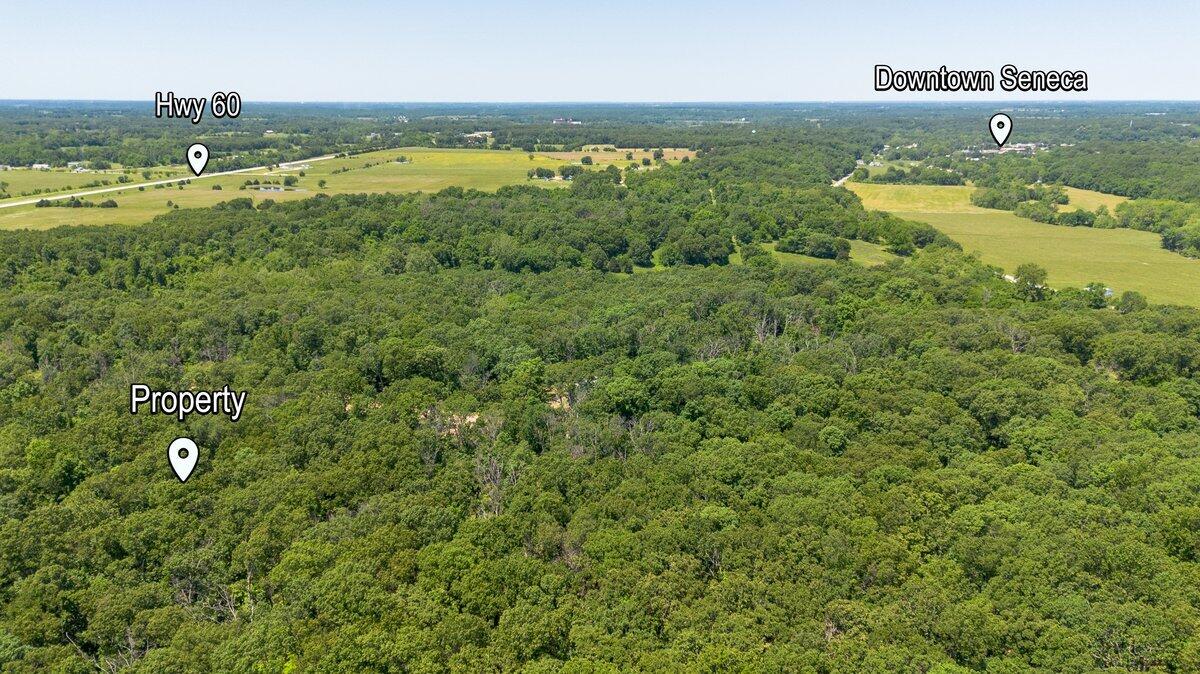 101 Penelope Property Photo 2